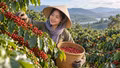 Giá cà phê hôm nay 19/9: Arabica, Robusta cùng chịu áp lực giảm