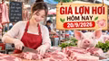 Giá lợn hơi hôm nay 20/9/2026: Cả nước đi ngang, miền Bắc giữ giá cao