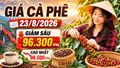 Giá cà phê hôm nay 23/8/2026 giảm sâu, cao nhất còn 96.500 đồng/kg