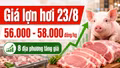 Giá lợn hơi hôm nay 23/8: Miền Bắc đồng loạt áp sát 58.000 đồng/kg