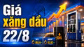 Giá xăng dầu hôm nay 22/8/2026: WTI trên 86 USD, Brent gần 94 USD