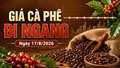 Giá cà phê hôm nay 17/8 ngừng giảm, Robusta và Arabica chờ tín hiệu mới