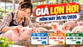 Giá lợn hơi hôm nay 30/10: Cả nước dao động 43.000 - 47.000 đồng/kg