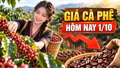 Giá cà phê hôm nay 1/10/2026: Tây Nguyên giảm, Robusta đi xuống