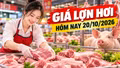 Giá lợn hơi hôm nay 20/10: Miền Bắc phổ biến 51.000 - 52.000 đồng/kg
