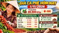 Giá cà phê hôm nay 1/11: Trong nước giảm, Robusta và Arabica cùng tăng