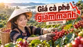 Giá cà phê hôm nay 22/10: Trong nước và thế giới cùng chịu áp lực giảm