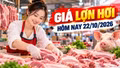 Giá lợn hơi hôm nay 22/10: Cả nước dao động 47.000 - 52.000 đồng/kg