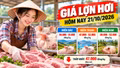Giá lợn hơi hôm nay 21/10/2026: Thấp nhất 47.000 đồng/kg