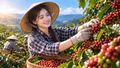 Giá cà phê hôm nay 7/9 giữ mốc 95.000 đồng/kg, chờ tín hiệu đầu tuần