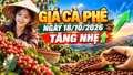 Giá cà phê hôm nay 18/10: Arabica bật hơn 3%, Tây Nguyên phục hồi