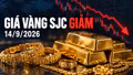 Giá vàng sáng 14/9 biến động trái chiều, SJC giảm 300.000 đồng/lượng