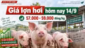 Giá lợn hơi hôm nay 14/9: Mốc 60.000 đồng/kg chưa trở lại