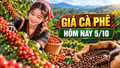 Giá cà phê hôm nay 5/10: Trong nước ổn định, Robusta giữ mức 3.469 USD/tấn