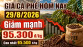 Giá cà phê hôm nay 29/8 giảm thêm 1.000 đồng/kg, Robusta tiếp tục đi xuống