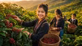 Giá cà phê hôm nay 18/8/2026 bật tăng, Robusta và Arabica cùng khởi sắc
