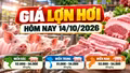 Giá lợn hơi hôm nay 14/10: Thị trường dao động 51.000 - 54.000 đồng/kg