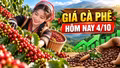 Giá cà phê hôm nay 4/10: Hai sàn thế giới cùng tăng, Tây Nguyên phục hồi