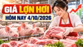 Giá lợn hơi hôm nay 4/10/2026: Thấp nhất 54.000 đồng/kg