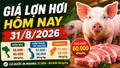 Giá lợn hơi hôm nay 31/8: Chỉ còn 3 địa phương đạt 60.000 đồng/kg