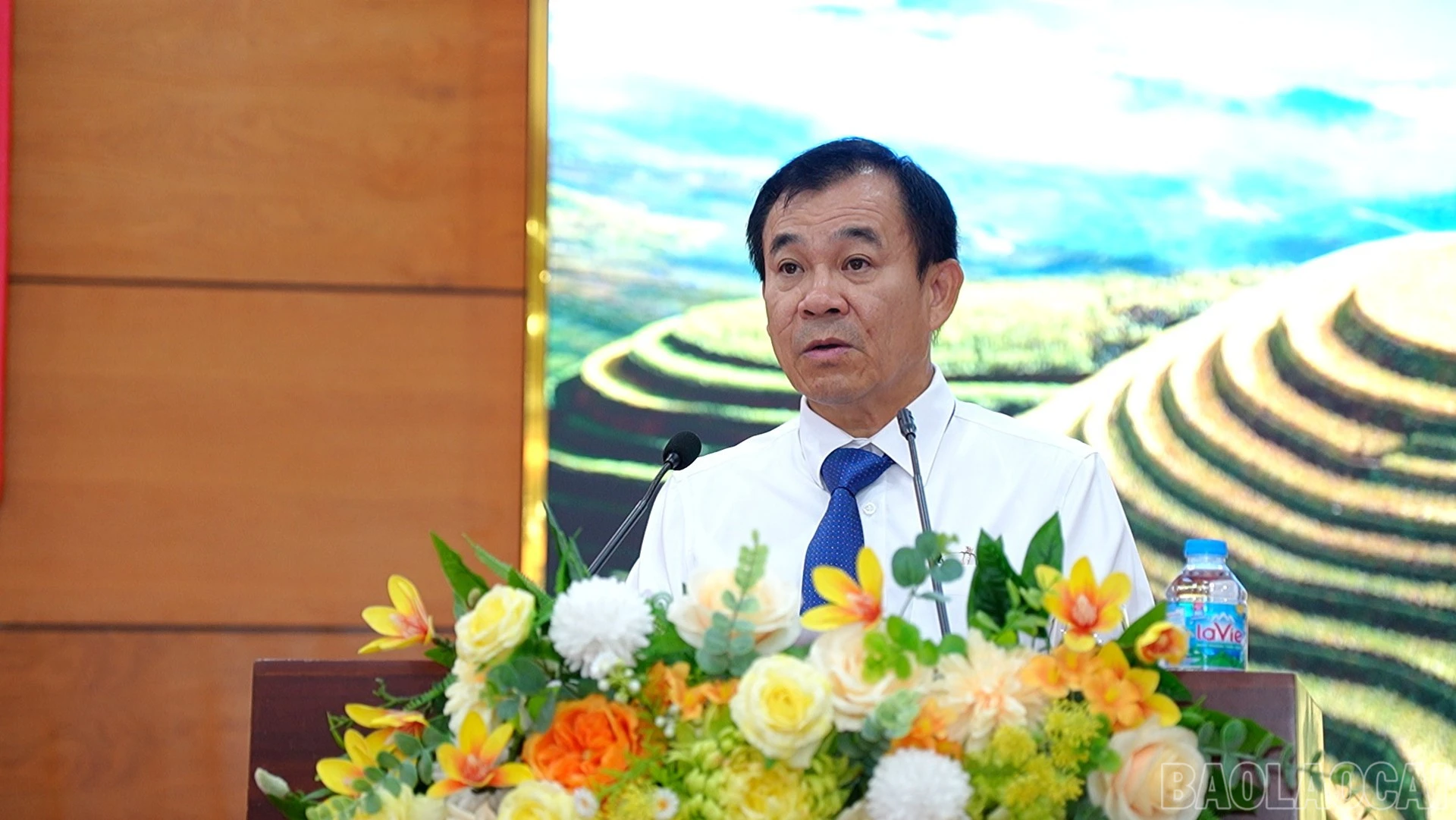 baolaocai-br_hnbtc-5749.jpg