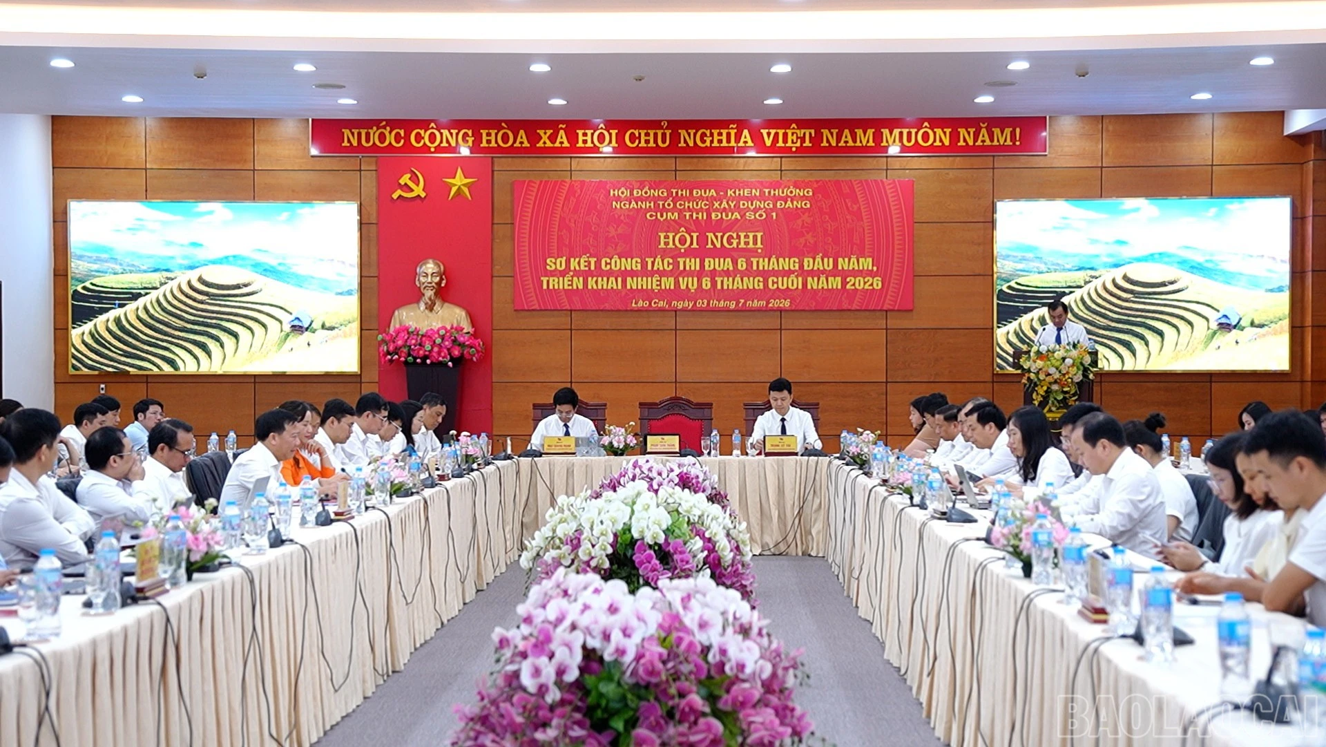 baolaocai-br_hn-btc-3304.jpg