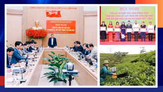 Điểm tin thời sự trong ngày 26/12