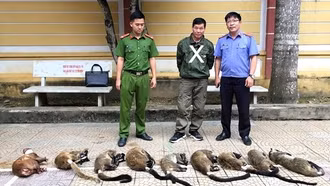 Hệ lụy từ buôn bán động vật hoang dã trái phép