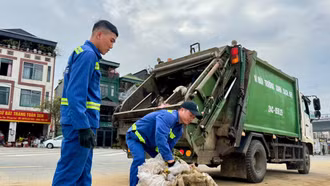 Để thành phố thêm sắc xuân