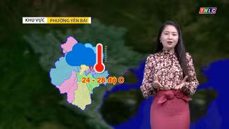Dự báo thời tiết đêm 10 và ngày 11/6