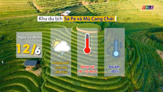 Dự báo thời tiết ngày 12/6