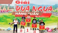 Hấp dẫn Vòng chung kết tháng 8 Giải đua ngựa hàng tuần