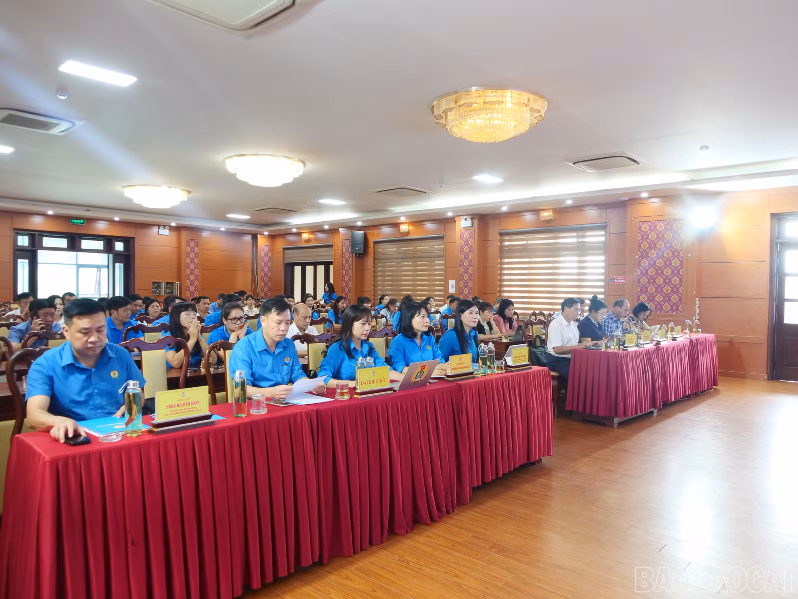 baolaocai-br_p1020946.jpg