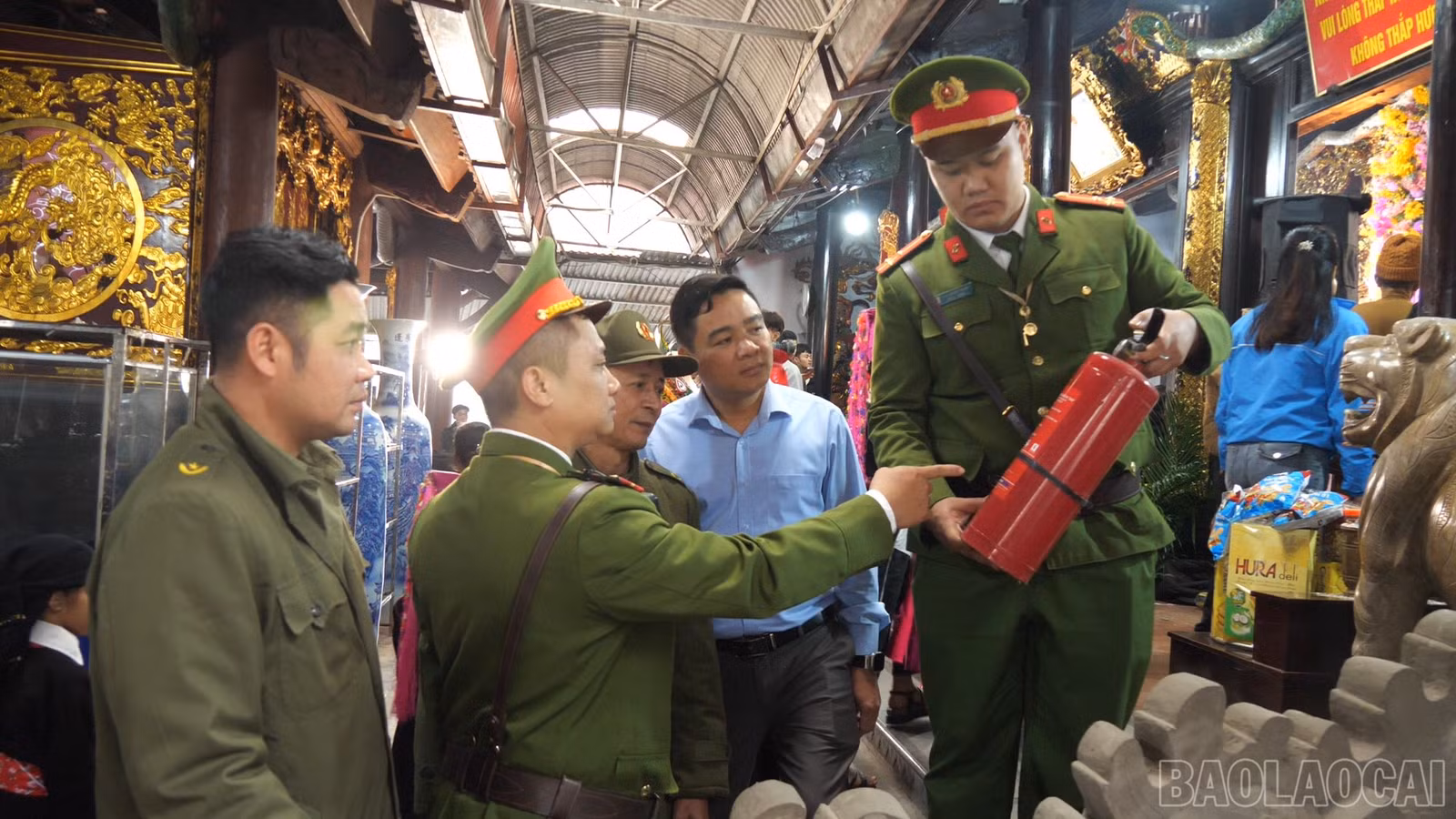 baolaocai-br_4.jpg