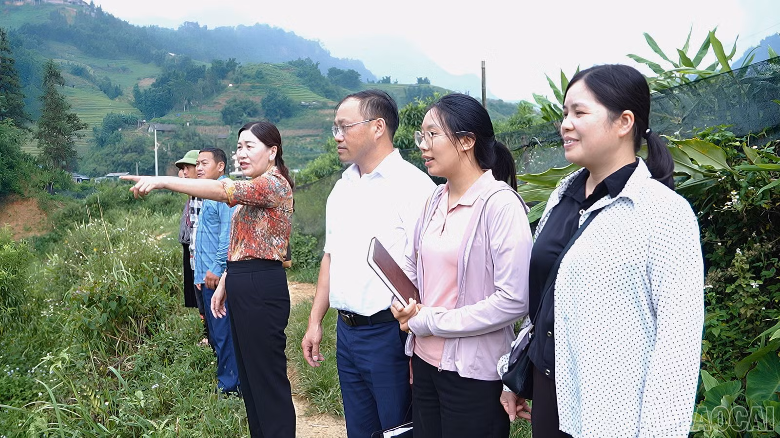 baolaocai-br_thiet-ke-chua-co-ten-33.jpg