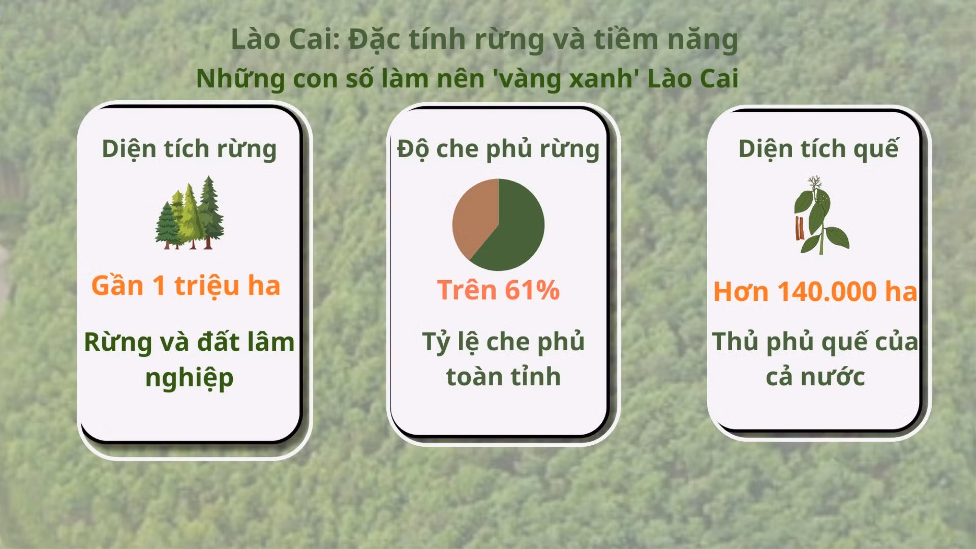 anh-1-dt-rung-7717.jpg