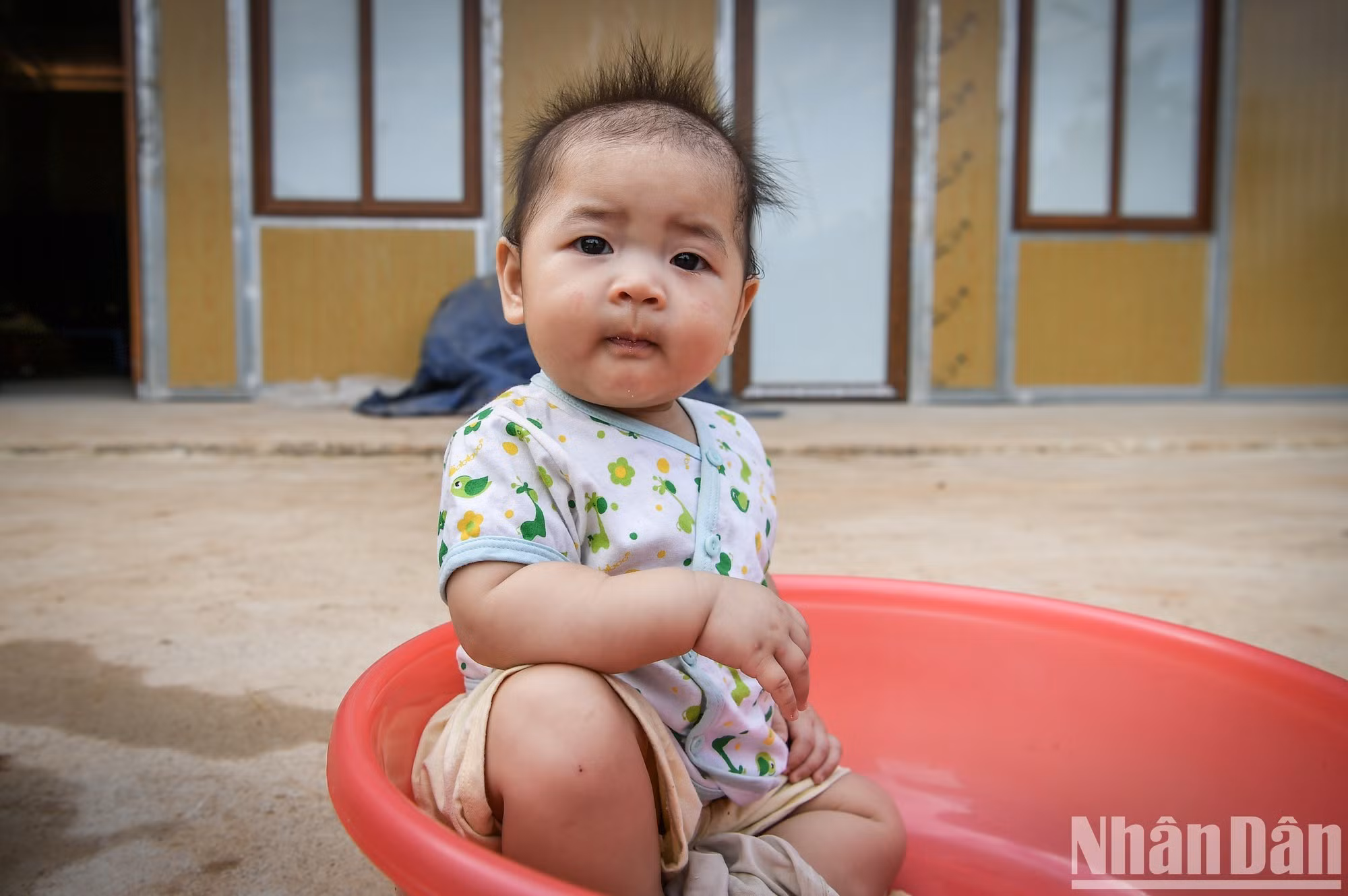 Ánh mắt ấy, dường như chưa ý thức được nỗi đau người lớn phải trải qua. Ánh mắt ấy, dường như chỉ có niềm hy vọng - niềm hy vọng vào tương lai đang nảy mầm phía trước từ chính những ngôi nhà vững chãi hôm nay...