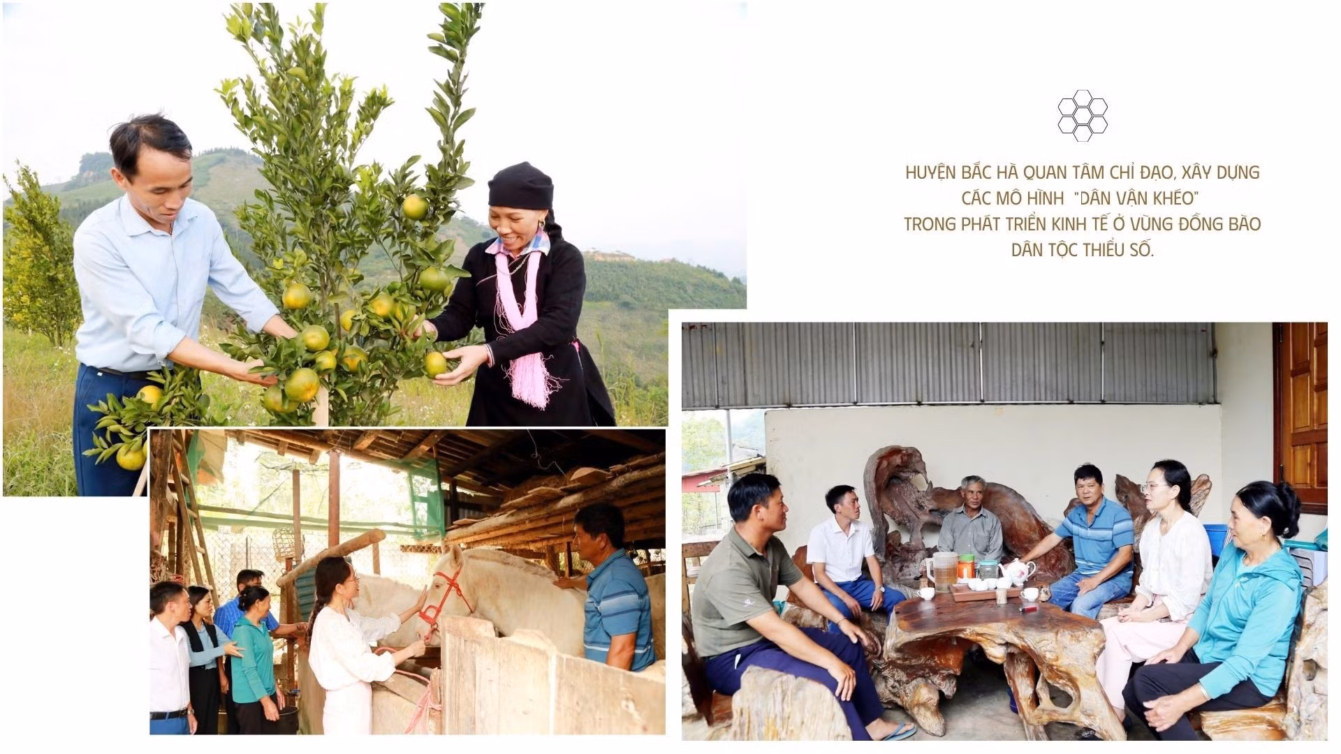 nang-cao-hieu-qua-dan-vanzip-7-9801-7715-9124.jpeg