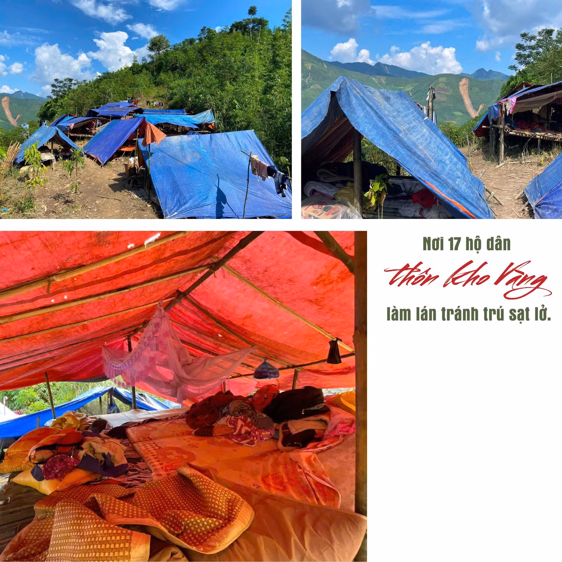 z5895846393920-635b352066f0f21cfd6541b7ef7e18ee-2940.jpg