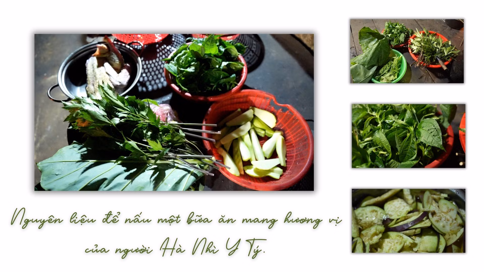 ban-giao-huong-huong-vi-ha-nhi-22.jpg