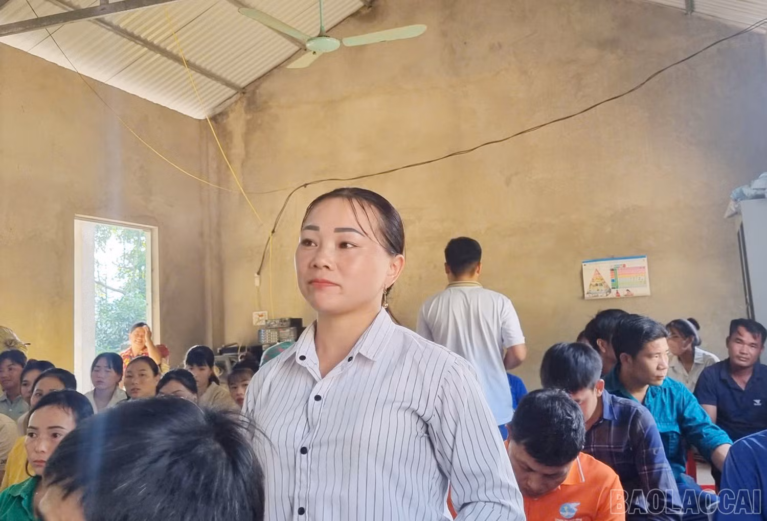 baolaocai-br_z6032959680938-9da12ec57acc94506c0b87def1db311f.jpg