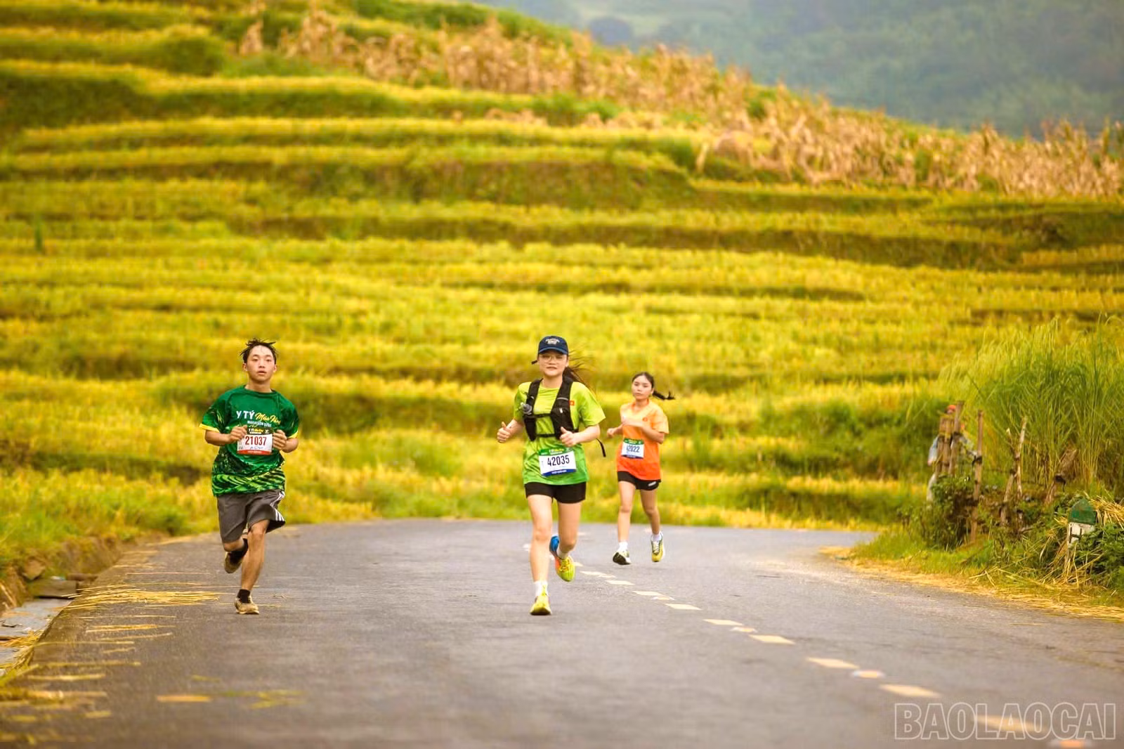 baolaocai-br_1789089043613-2220166576333389497-5828311030445809044-c5d6b776c18ebcee5e0389cbe76f89cd.jpg