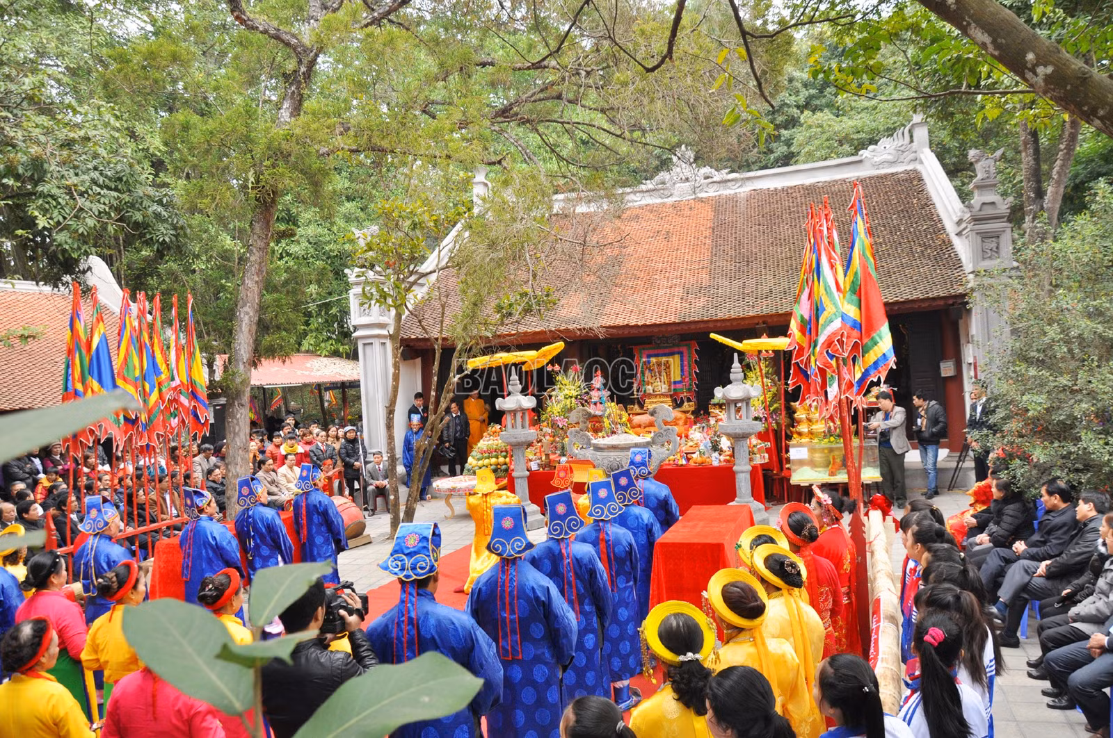 baolaocai-c_14.jpg