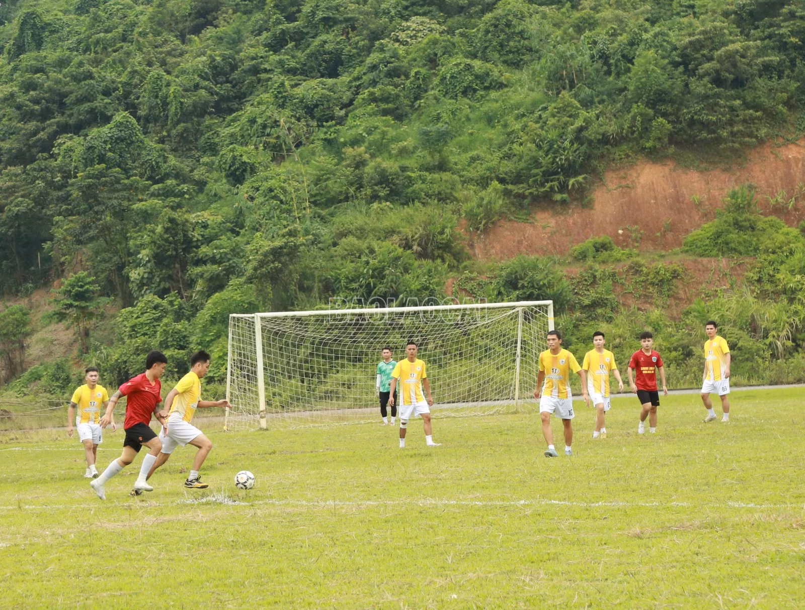 baolaocai-c_7-5203.jpg
