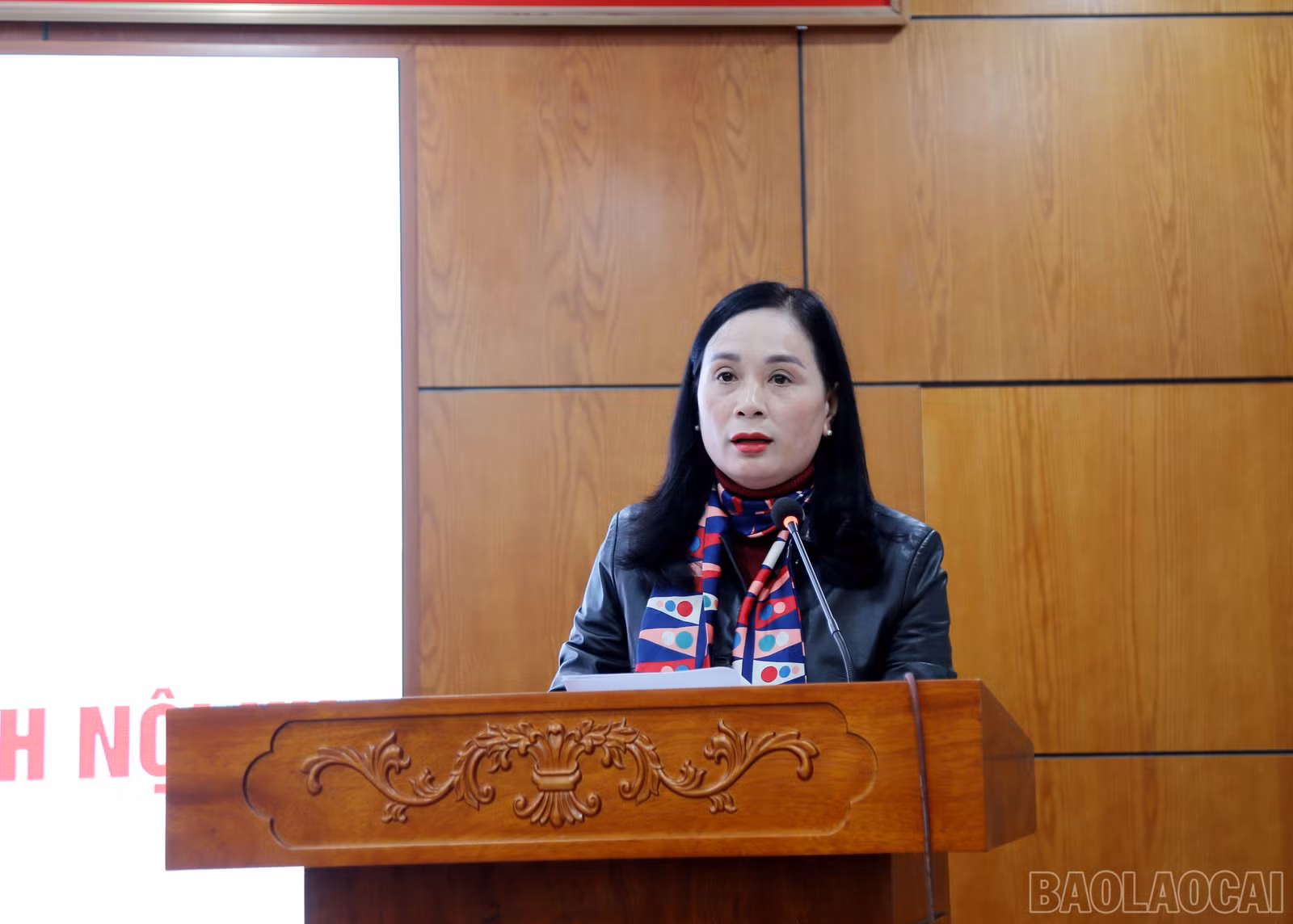 baolaocai-br_6-485.jpg