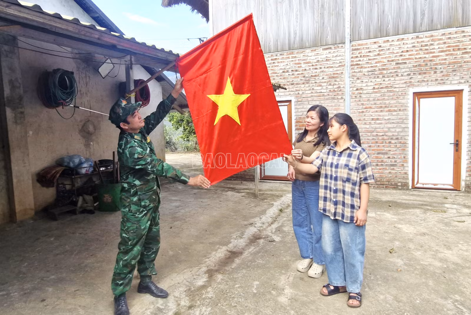 baolaocai-c_8.jpg