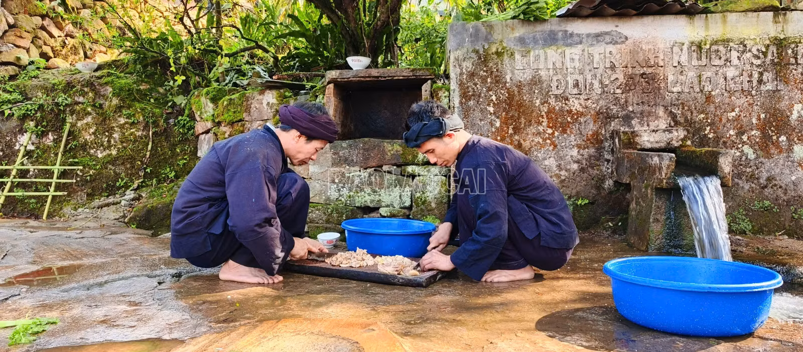 baolaocai-c_2.jpg