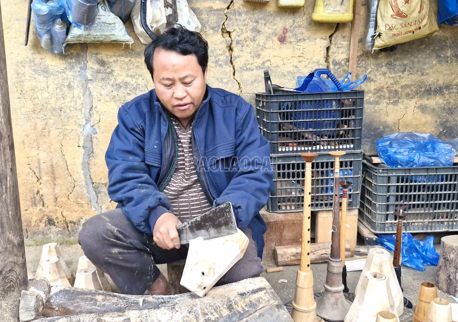 baolaocai-c_5-2520.jpg