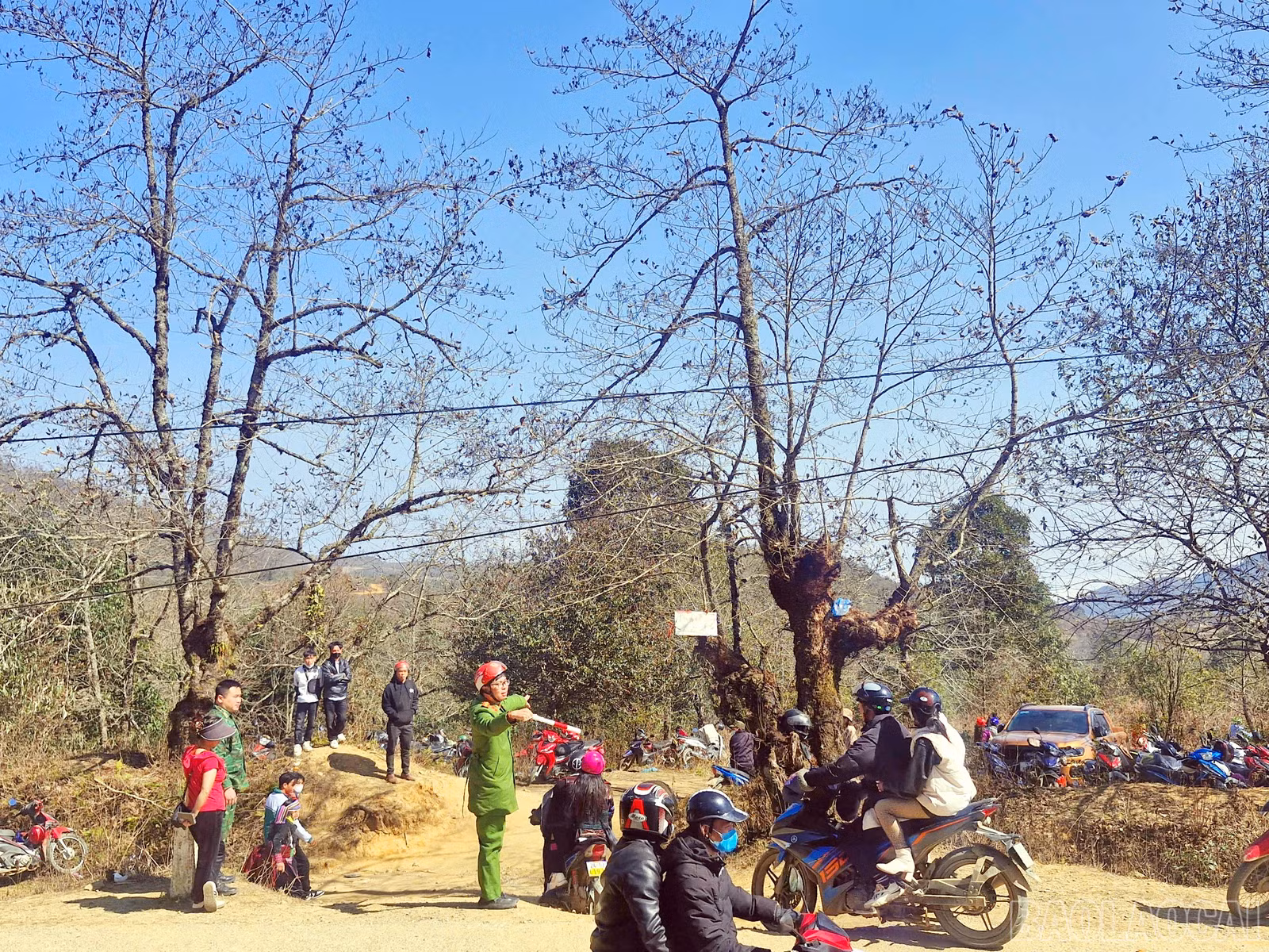 baolaocai-br_8.jpg