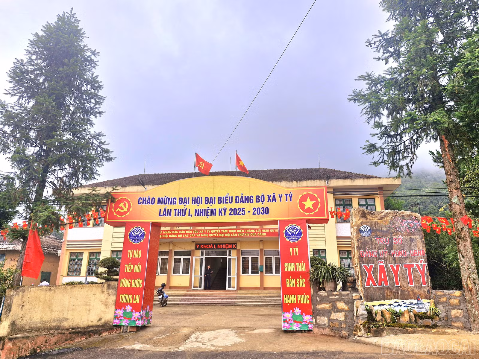 baolaocai-br_6.jpg